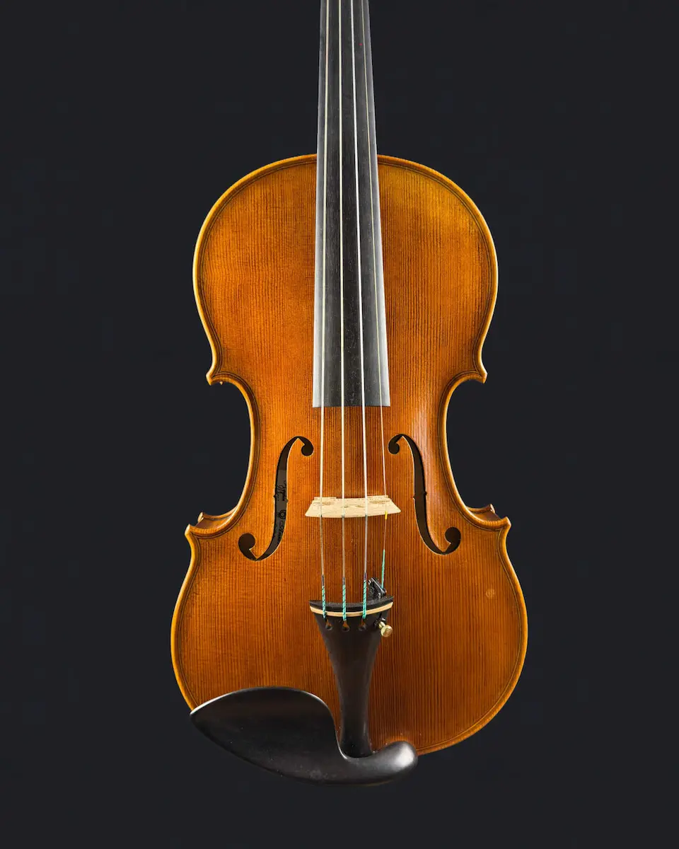 Vioară de maestru №293 — Model Stradivari — fotografie 6