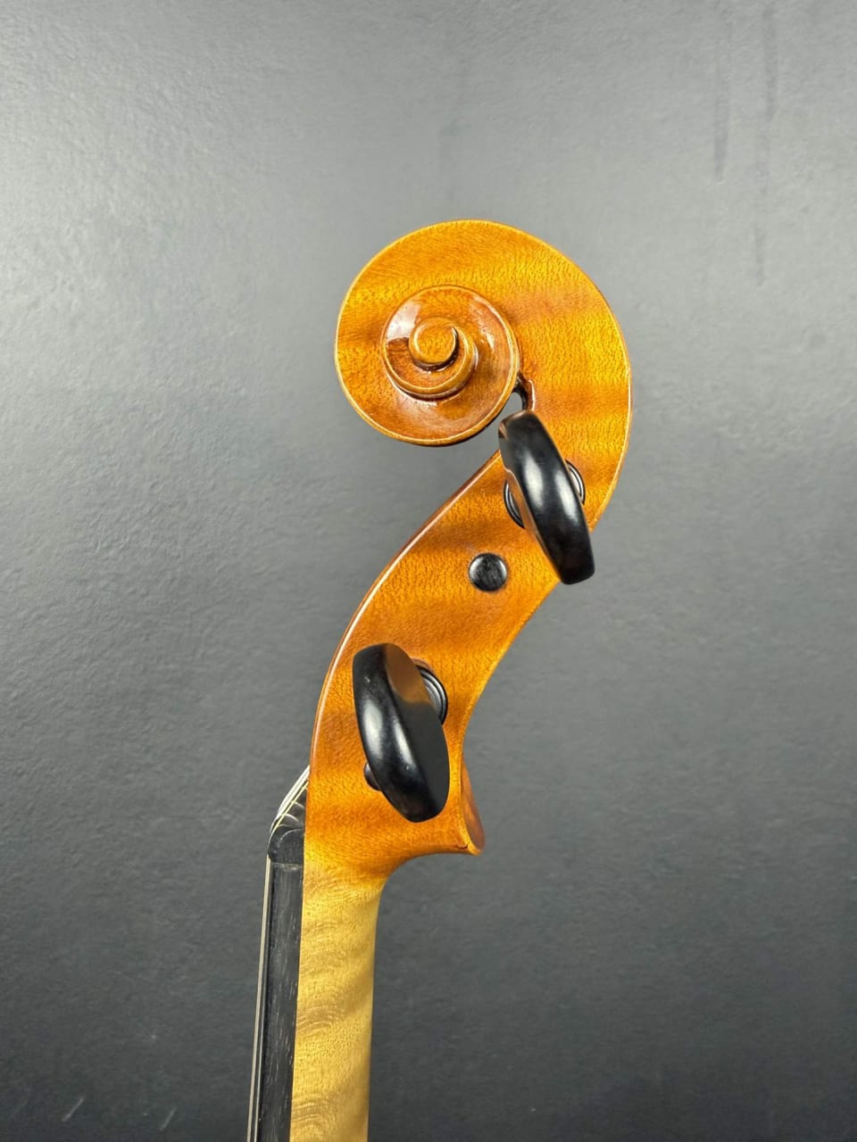 Vioară de maestru №294 — Nicolo Amati 1666 — fotografie 5