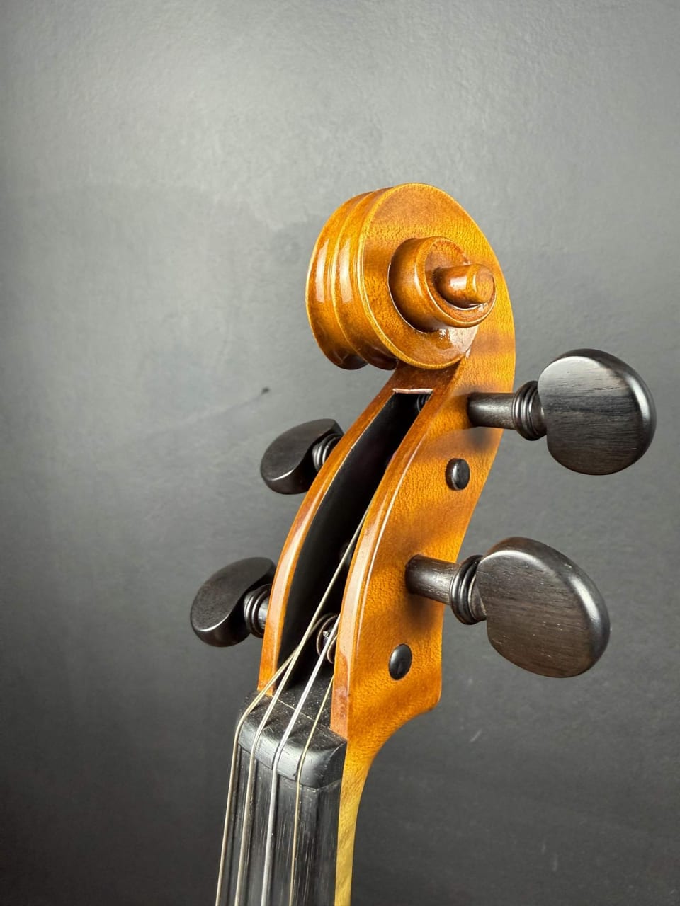 Vioară de maestru №294 — Nicolo Amati 1666 — fotografie 6