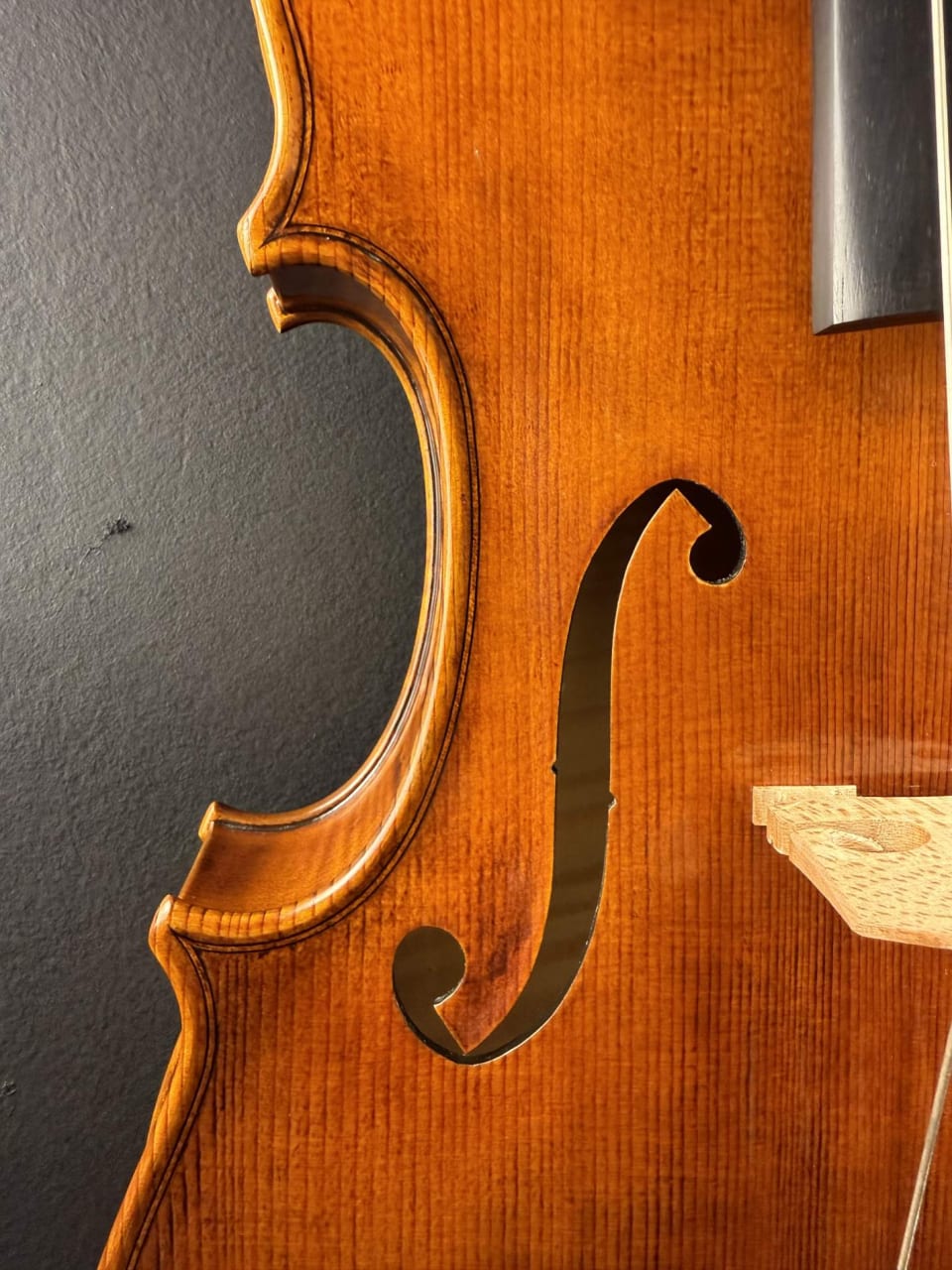 Violă de maestru №131 — Model Guarneri — fotografie 15