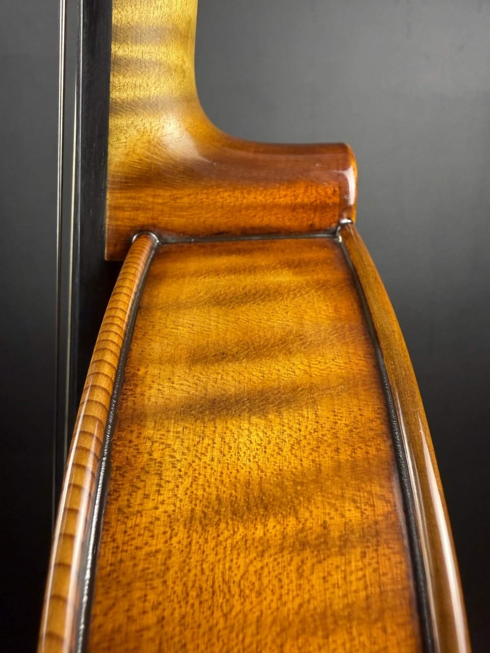Violă de maestru №131 — Model Guarneri — fotografie 8