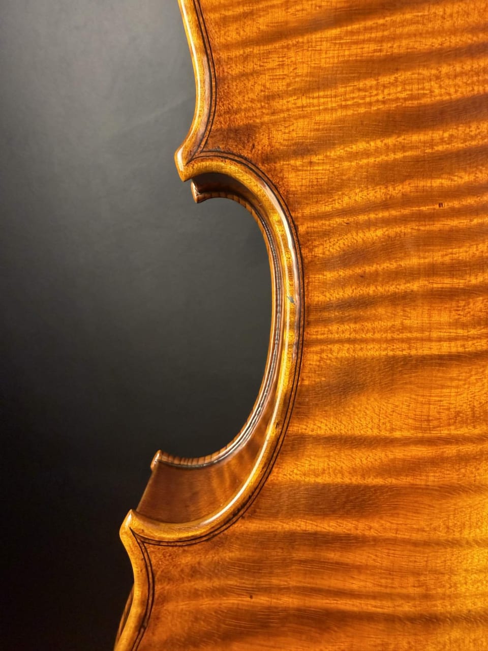 Violă de maestru №131 — Model Guarneri — fotografie 9
