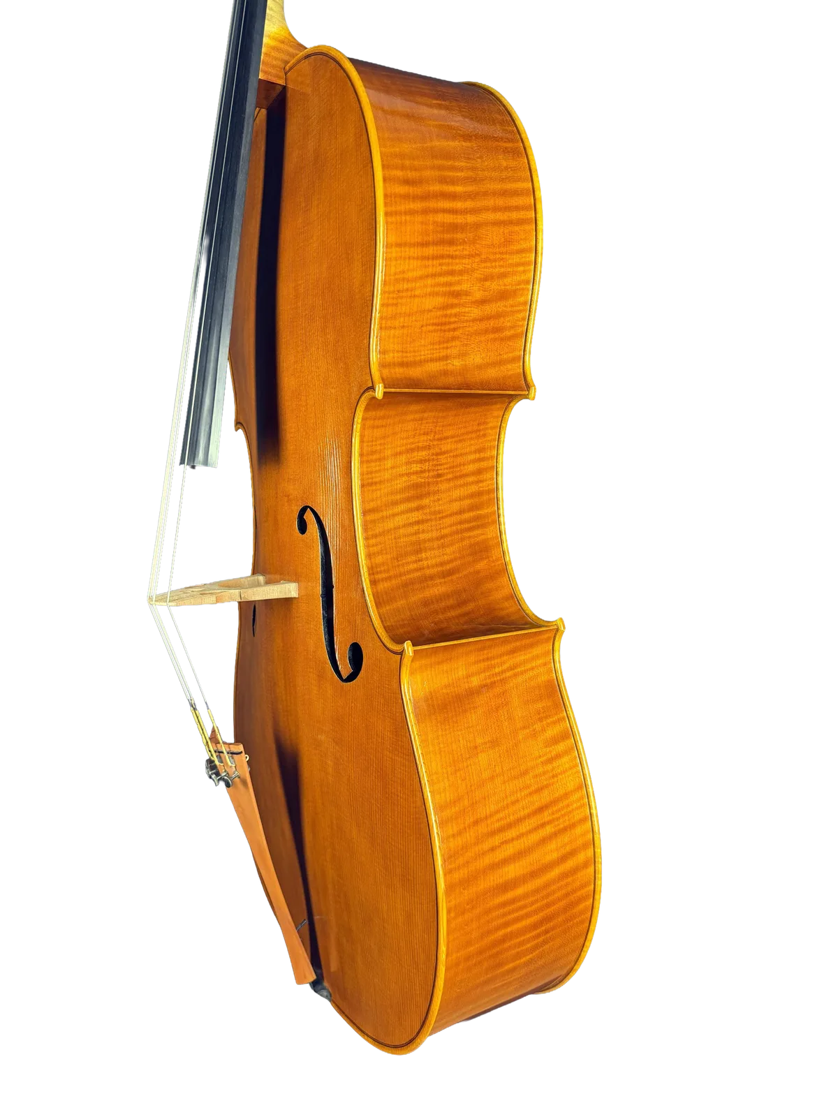 Violoncel de maestru №3 — Model Stradivari mic — fotografie 3