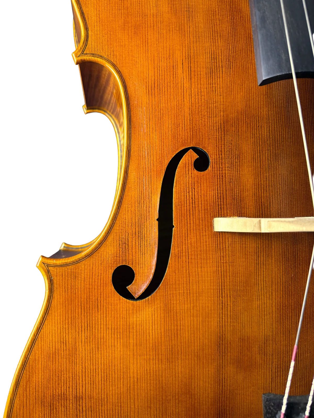 Violoncel de maestru №5 — Model Stradivari mare — fotografie 7