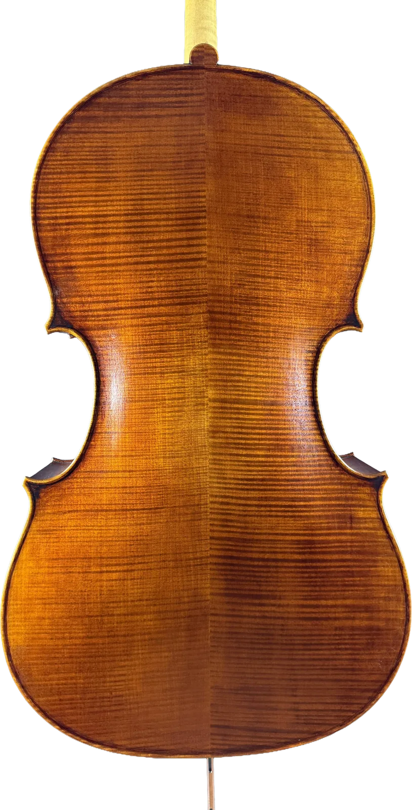 Violoncel de maestru №6 — Model Montagnana — fotografie 2