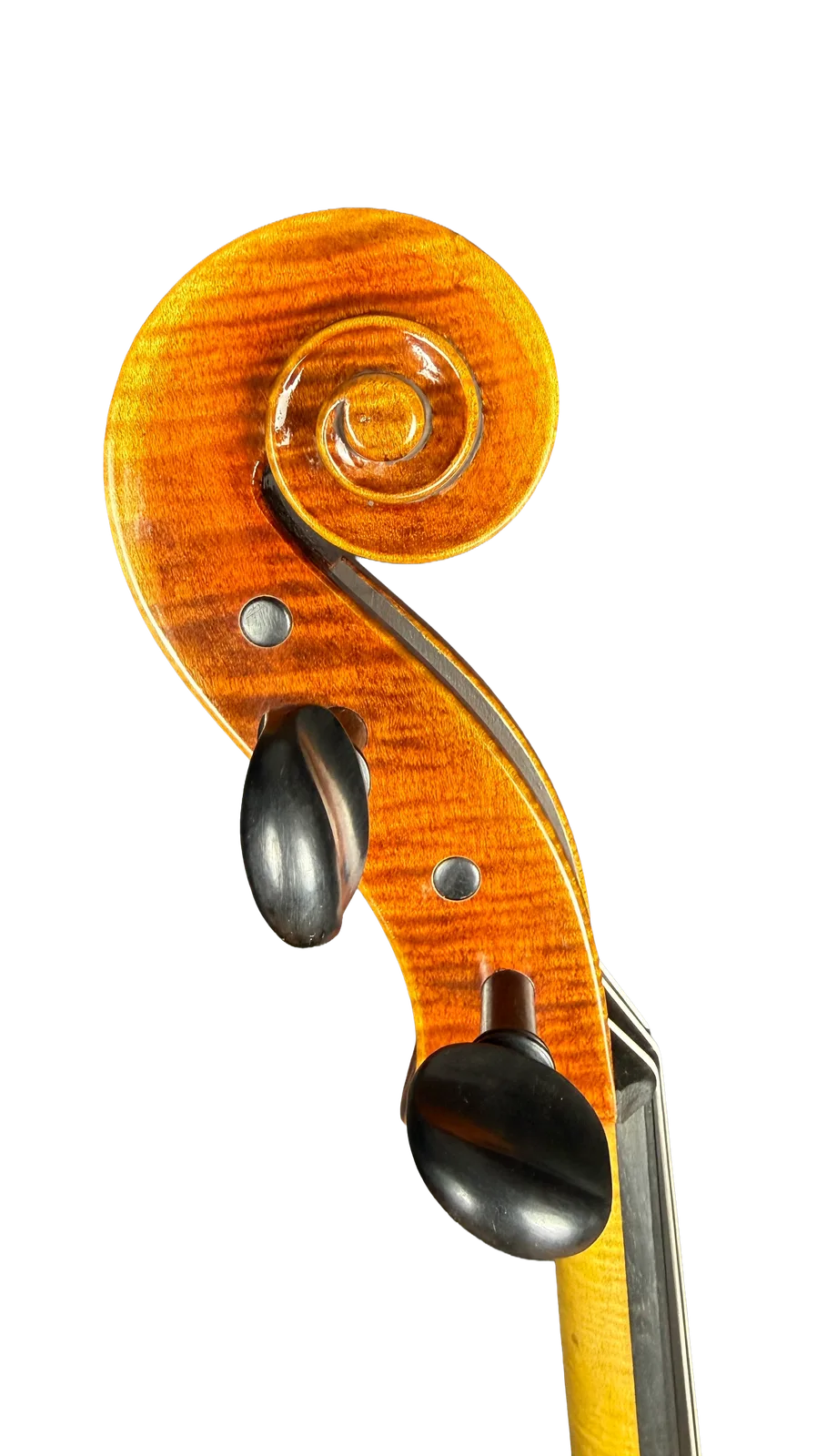 Violoncel de maestru №7 — Model Gagliano — fotografie 8