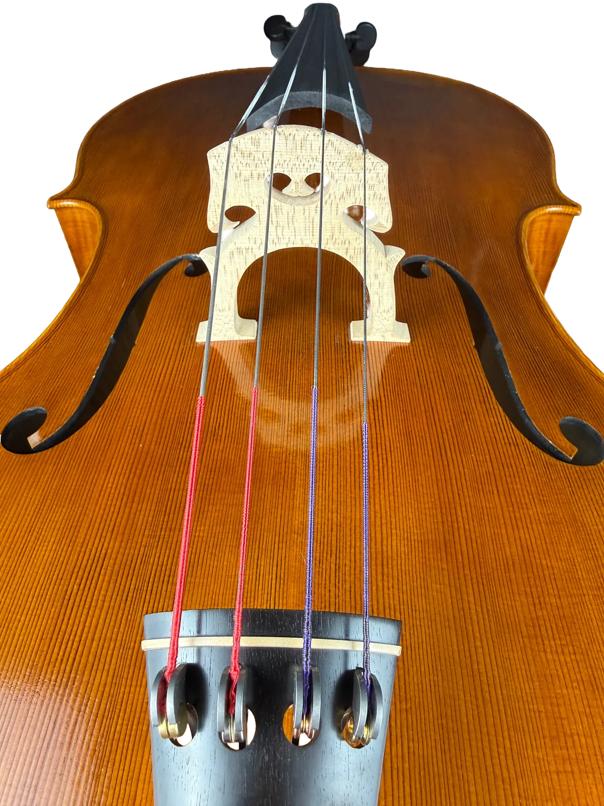 Violoncel de maestru №8 — Model Gofriller — fotografie 12