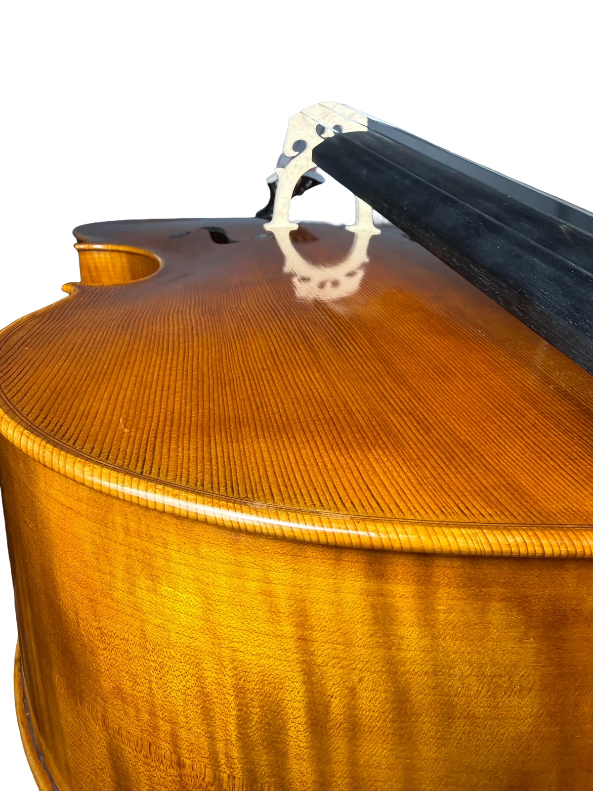 Violoncel de maestru №8 — Model Gofriller — fotografie 13