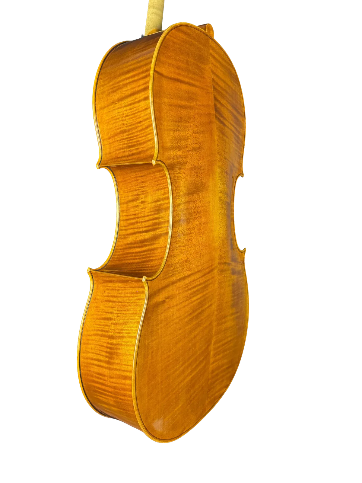 Violoncel de maestru №8 — Model Gofriller — fotografie 5
