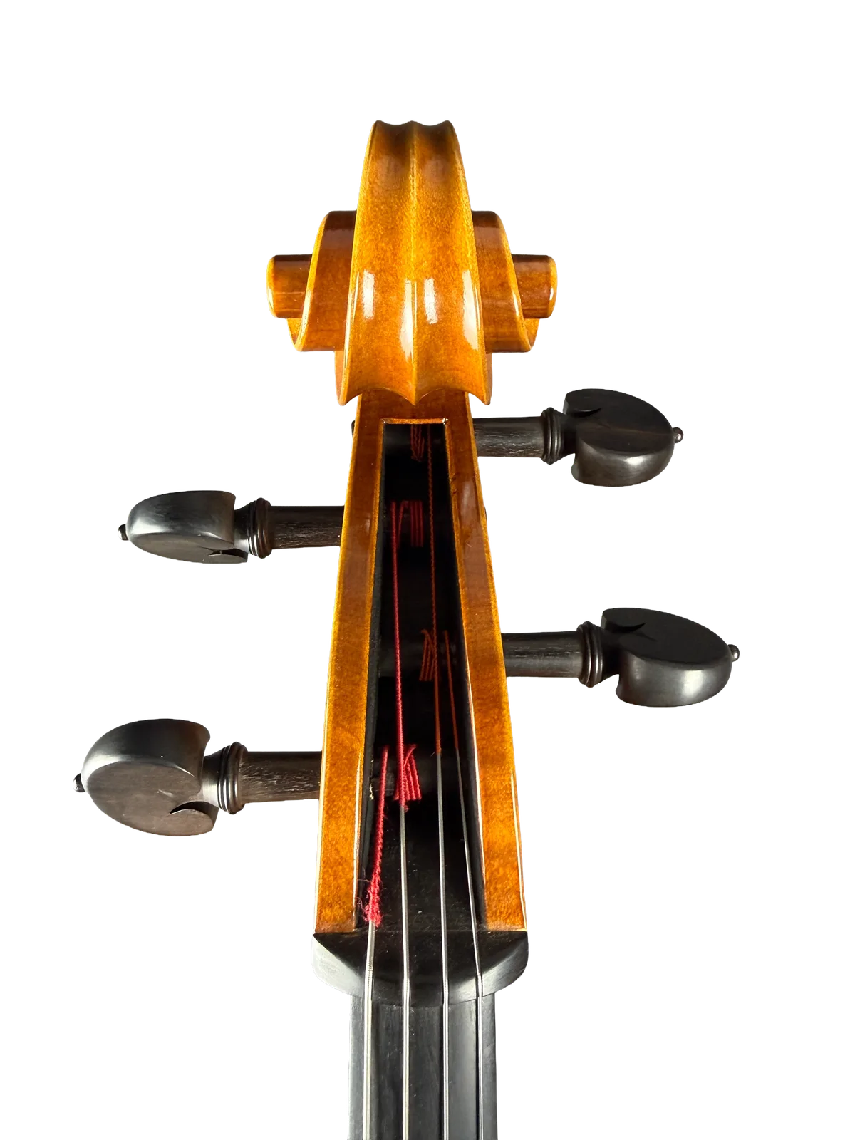Violoncel de maestru №8 — Model Gofriller — fotografie 7